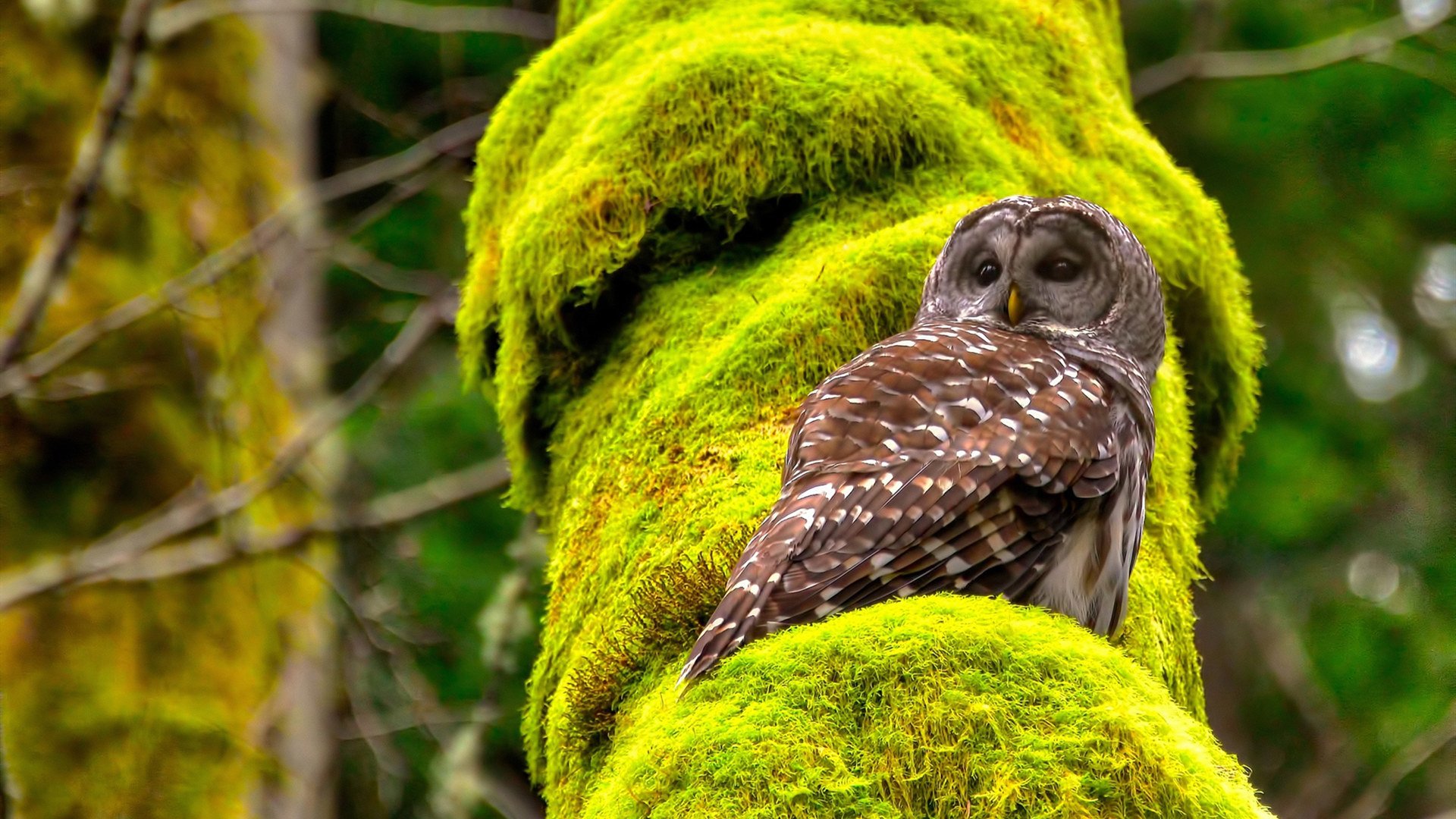 kaiyun体育app-_瑜伽冥想联谊会：放松身心迎接新挑战_，瑜伽冥想视频教学