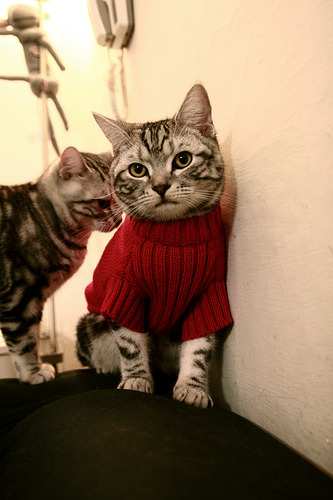 开云综合服务-【电子裁判正式启用】科技保障比赛公平性，是否精准保障？，电子竞技裁判员证考试