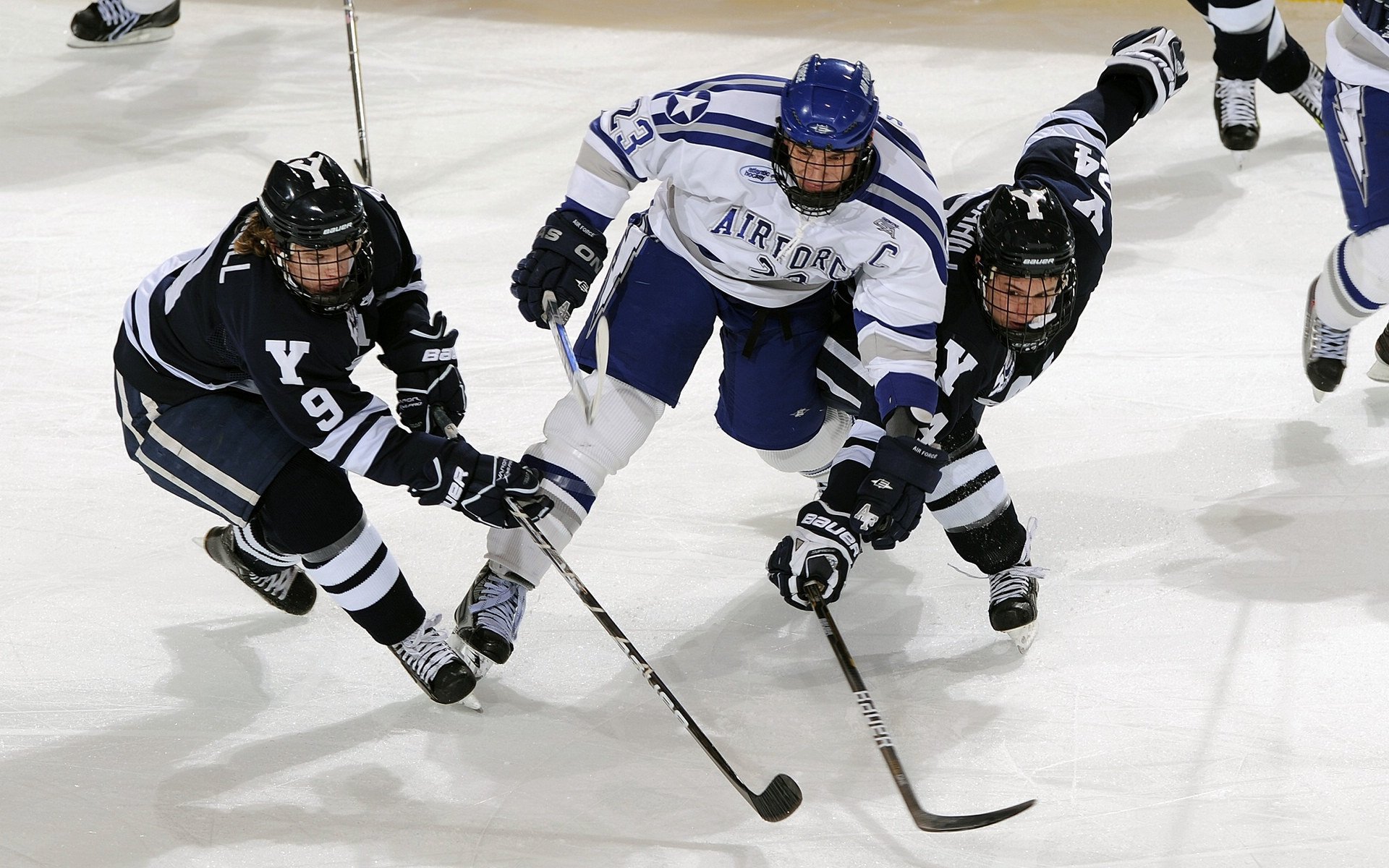 开云中国-比利时水球攻防转换迅速，比利时水平